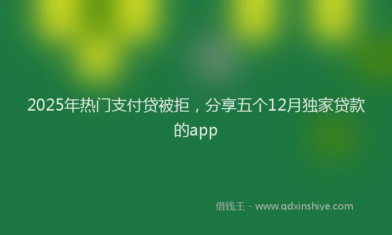 2025年热门支付贷被拒，分享五个12月独家贷款的app