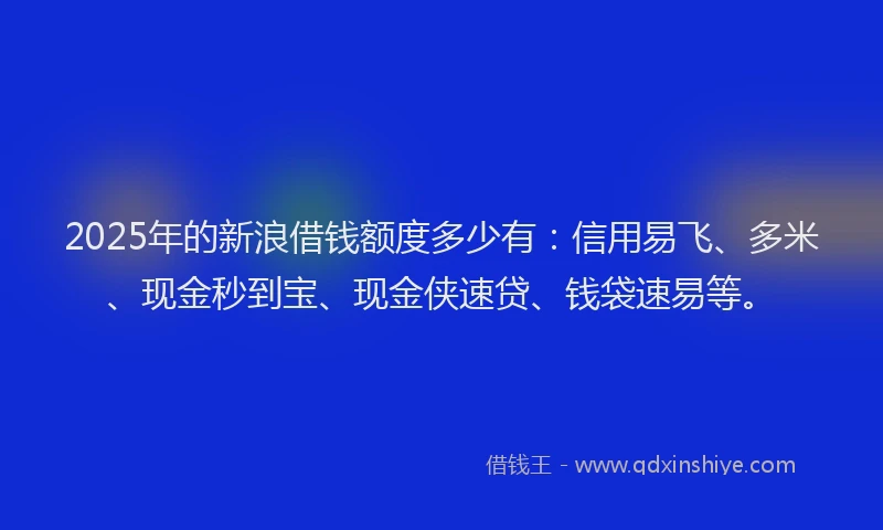 2025年的新浪借钱额度多少有：信用易飞、多米、现金秒到宝、现金侠速贷、钱袋速易等。