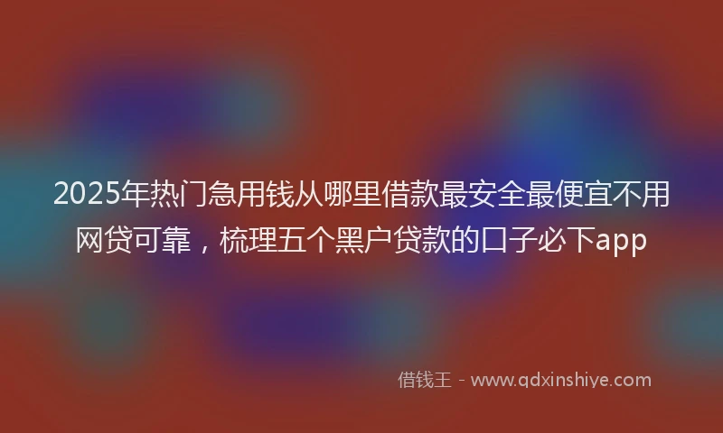 2025年热门急用钱从哪里借款最安全最便宜不用网贷可靠，梳理五个黑户贷款的口子必下app