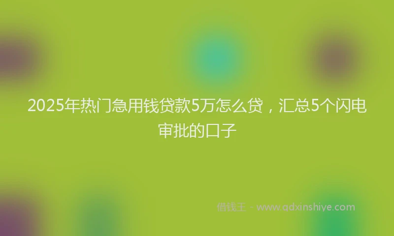 2025年热门急用钱贷款5万怎么贷，汇总5个闪电审批的口子