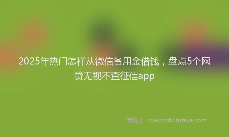 2025年热门怎样从微信备用金借钱，盘点5个网贷无视不查征信app