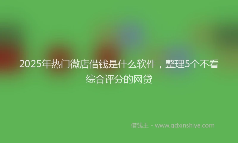2025年热门微店借钱是什么软件，整理5个不看综合评分的网贷