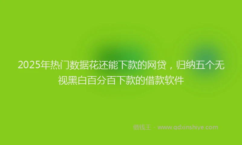 2025年热门数据花还能下款的网贷，归纳五个无视黑白百分百下款的借款软件