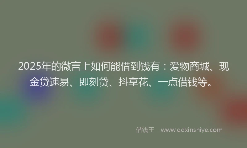 2025年的微言上如何能借到钱有：爱物商城、现金贷速易、即刻贷、抖享花、一点借钱等。