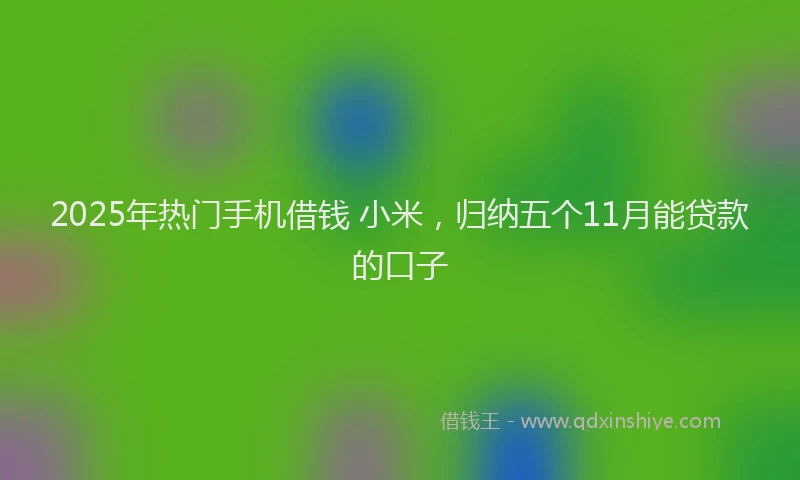 2025年热门手机借钱 小米，归纳五个11月能贷款的口子