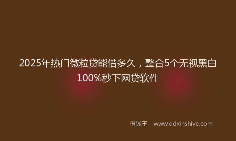 2025年热门微粒贷能借多久，整合5个无视黑白100%秒下网贷软件