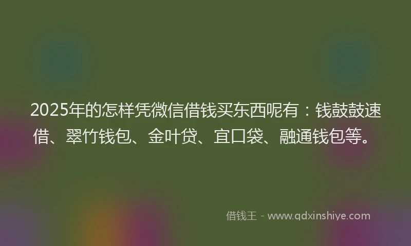 2025年的怎样凭微信借钱买东西呢有：钱鼓鼓速借、翠竹钱包、金叶贷、宜口袋、融通钱包等。