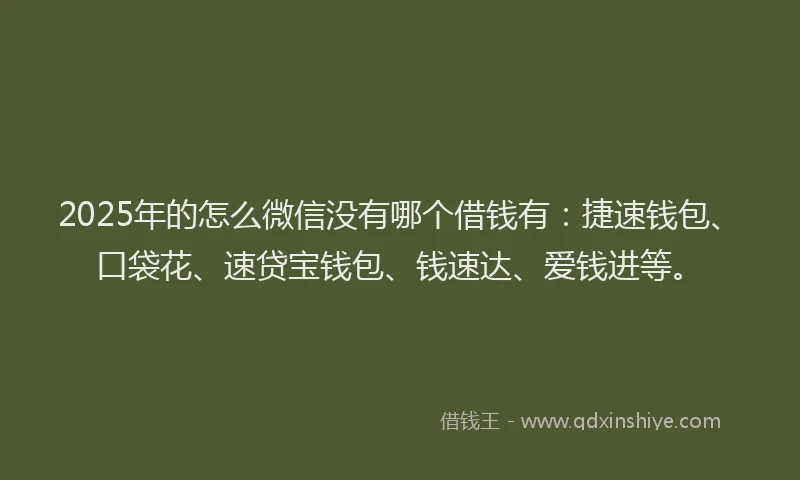 2025年的怎么微信没有哪个借钱有：捷速钱包、口袋花、速贷宝钱包、钱速达、爱钱进等。