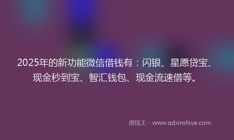 2025年的新功能微信借钱有：闪银、星愿贷宝、现金秒到宝、智汇钱包、现金流速借等。