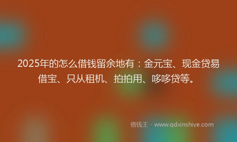 2025年的怎么借钱留余地有：金元宝、现金贷易借宝、只从租机、拍拍用、哆哆贷等。