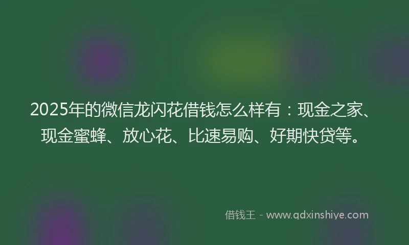2025年的微信龙闪花借钱怎么样有：现金之家、现金蜜蜂、放心花、比速易购、好期快贷等。
