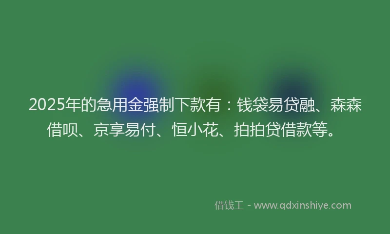 2025年的急用金强制下款有：钱袋易贷融、森森借呗、京享易付、恒小花、拍拍贷借款等。