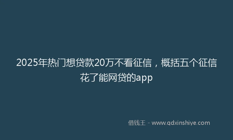 2025年热门想贷款20万不看征信，概括五个征信花了能网贷的app