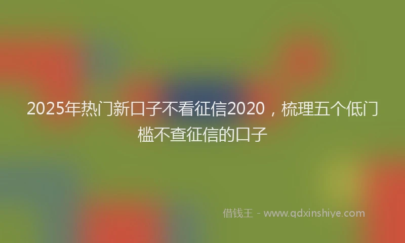 2025年热门新口子不看征信2020，梳理五个低门槛不查征信的口子