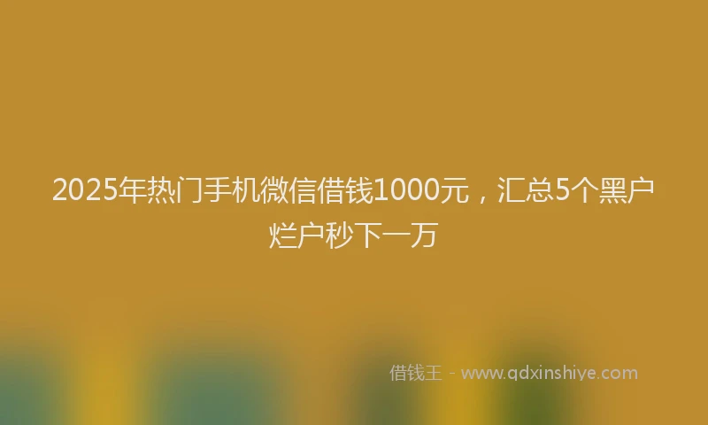 2025年热门手机微信借钱1000元，汇总5个黑户烂户秒下一万