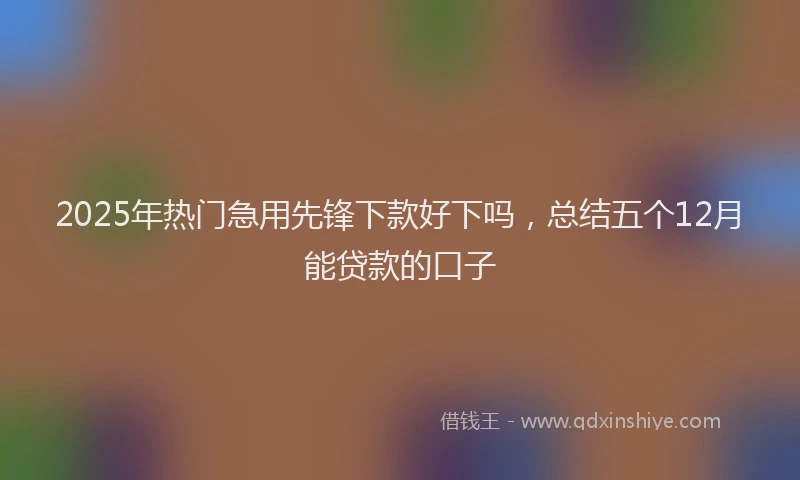 2025年热门急用先锋下款好下吗，总结五个12月能贷款的口子