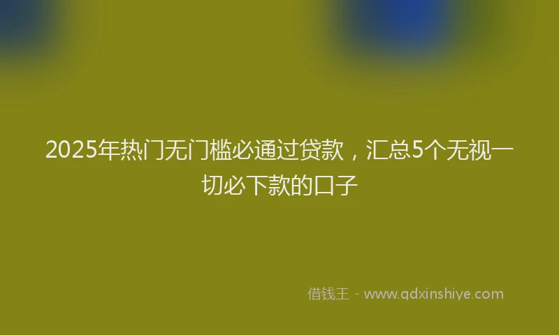 2025年热门无门槛必通过贷款，汇总5个无视一切必下款的口子