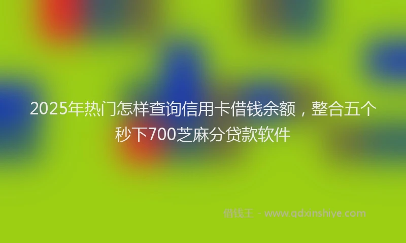 2025年热门怎样查询信用卡借钱余额，整合五个秒下700芝麻分贷款软件