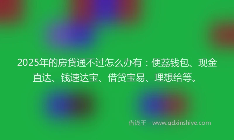 2025年的房贷通不过怎么办有：便荔钱包、现金直达、钱速达宝、借贷宝易、理想给等。
