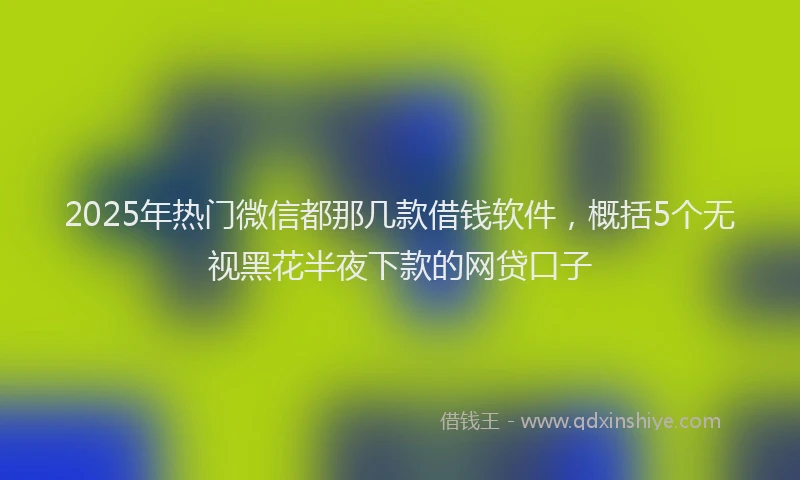 2025年热门微信都那几款借钱软件，概括5个无视黑花半夜下款的网贷口子