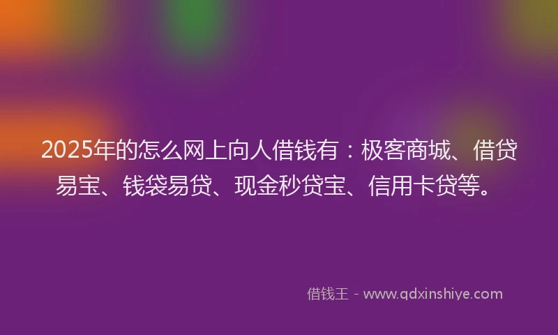 2025年的怎么网上向人借钱有：极客商城、借贷易宝、钱袋易贷、现金秒贷宝、信用卡贷等。