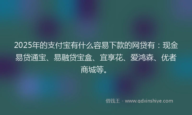 2025年的支付宝有什么容易下款的网贷有：现金易贷通宝、易融贷宝盒、宜享花、爱鸿森、优者商城等。