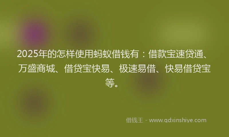 2025年的怎样使用蚂蚁借钱有：借款宝速贷通、万盛商城、借贷宝快易、极速易借、快易借贷宝等。