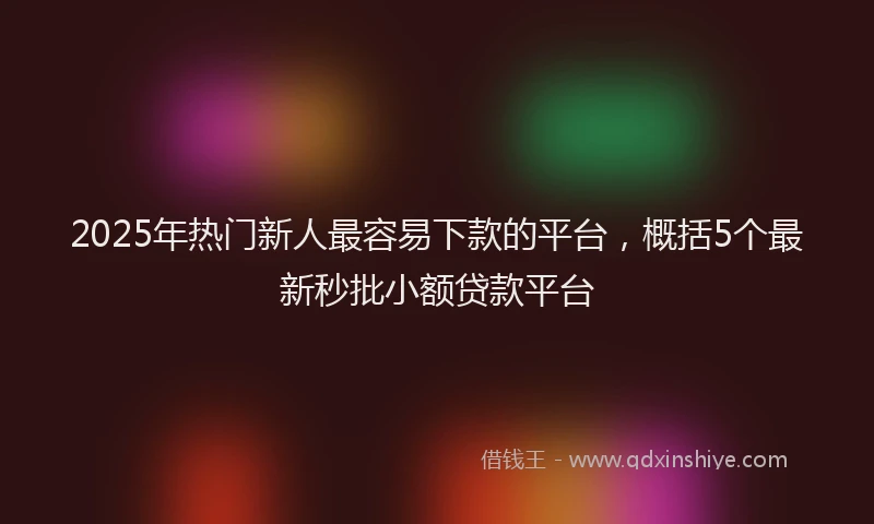 2025年热门新人最容易下款的平台，概括5个最新秒批小额贷款平台