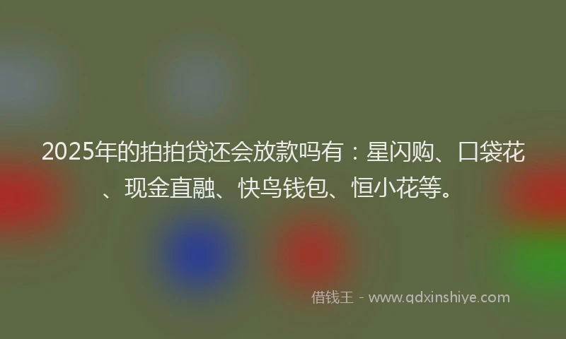 2025年的拍拍贷还会放款吗有：星闪购、口袋花、现金直融、快鸟钱包、恒小花等。