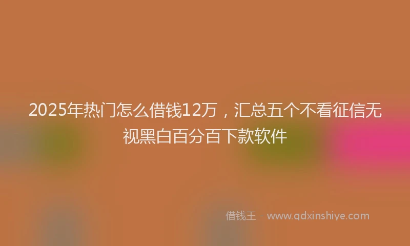 2025年热门怎么借钱12万，汇总五个不看征信无视黑白百分百下款软件