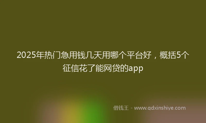 2025年热门急用钱几天用哪个平台好，概括5个征信花了能网贷的app