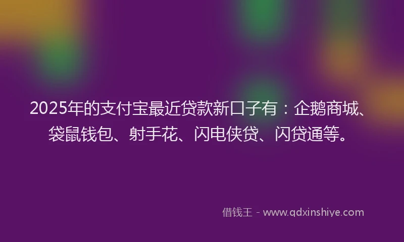 2025年的支付宝最近贷款新口子有：企鹅商城、袋鼠钱包、射手花、闪电侠贷、闪贷通等。