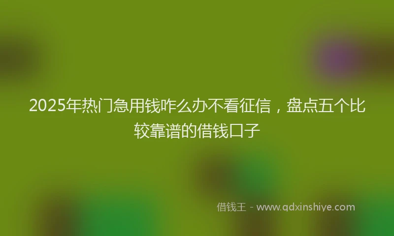 2025年热门急用钱咋么办不看征信，盘点五个比较靠谱的借钱口子
