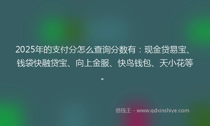 2025年的支付分怎么查询分数有：现金贷易宝、钱袋快融贷宝、向上金服、快鸟钱包、天小花等。