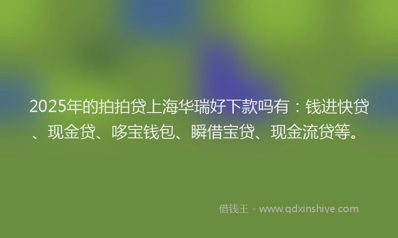 2025年的拍拍贷上海华瑞好下款吗有：钱进快贷、现金贷、哆宝钱包、瞬借宝贷、现金流贷等。