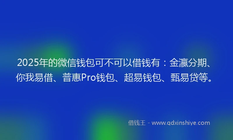 2025年的微信钱包可不可以借钱有：金瀛分期、你我易借、普惠Pro钱包、超易钱包、甄易贷等。