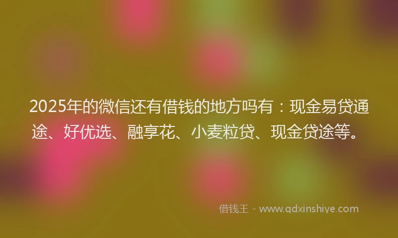 2025年的微信还有借钱的地方吗有：现金易贷通途、好优选、融享花、小麦粒贷、现金贷途等。