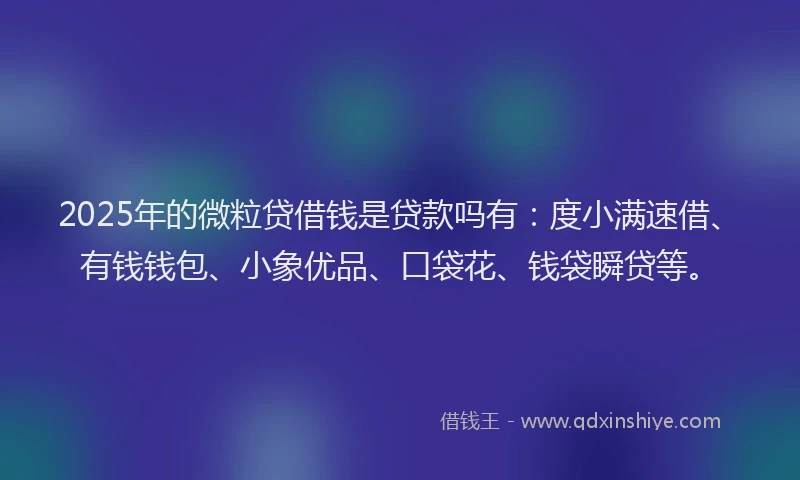 2025年的微粒贷借钱是贷款吗有：度小满速借、有钱钱包、小象优品、口袋花、钱袋瞬贷等。