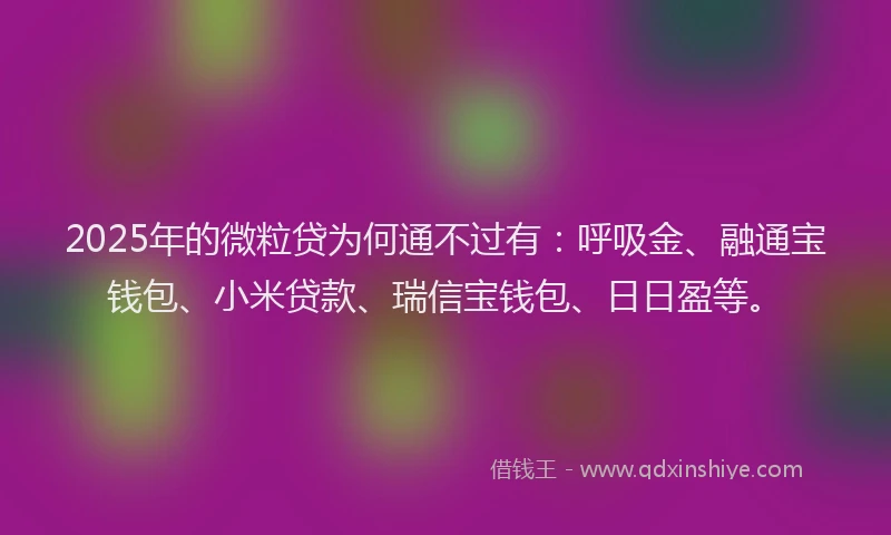 2025年的微粒贷为何通不过有：呼吸金、融通宝钱包、小米贷款、瑞信宝钱包、日日盈等。