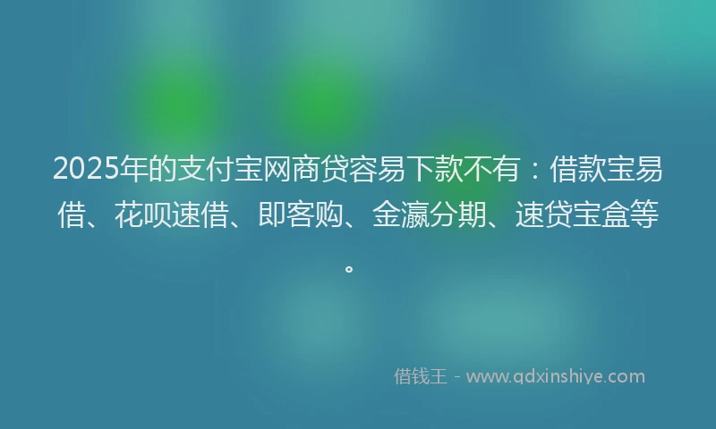 2025年的支付宝网商贷容易下款不有：借款宝易借、花呗速借、即客购、金瀛分期、速贷宝盒等。