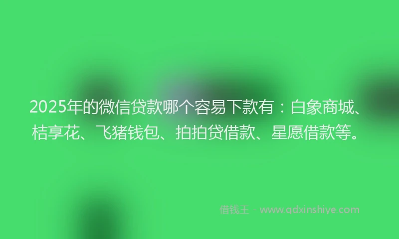 2025年的微信贷款哪个容易下款有：白象商城、桔享花、飞猪钱包、拍拍贷借款、星愿借款等。
