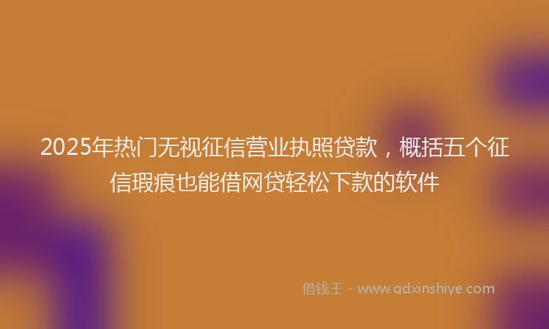 2025年热门无视征信营业执照贷款，概括五个征信瑕疵也能借网贷轻松下款的软件