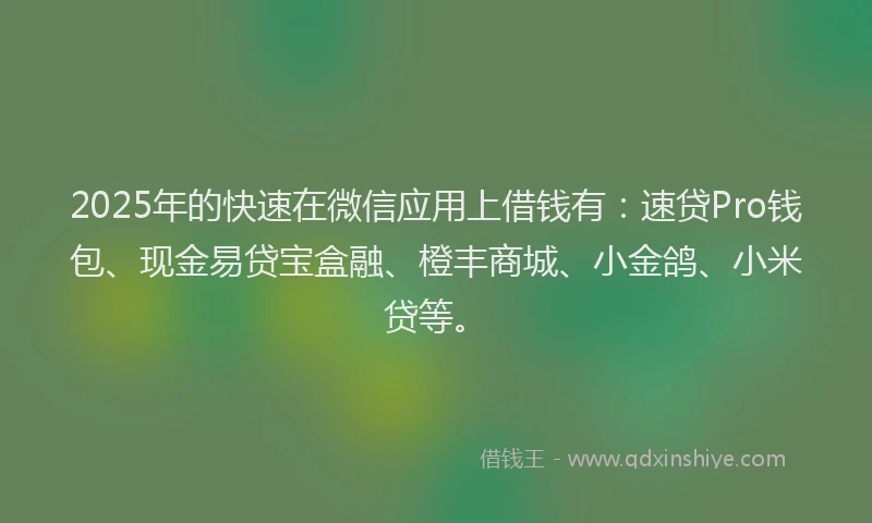 2025年的快速在微信应用上借钱有：速贷Pro钱包、现金易贷宝盒融、橙丰商城、小金鸽、小米贷等。