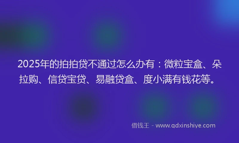 2025年的拍拍贷不通过怎么办有：微粒宝盒、朵拉购、信贷宝贷、易融贷盒、度小满有钱花等。