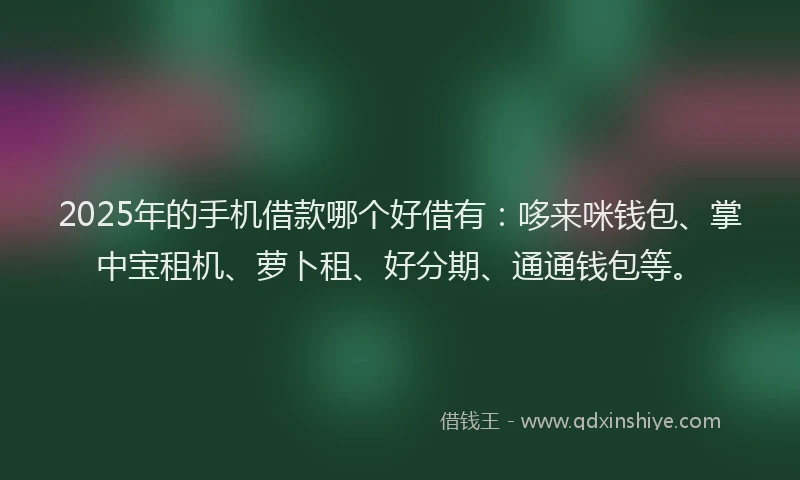 2025年的手机借款哪个好借有：哆来咪钱包、掌中宝租机、萝卜租、好分期、通通钱包等。