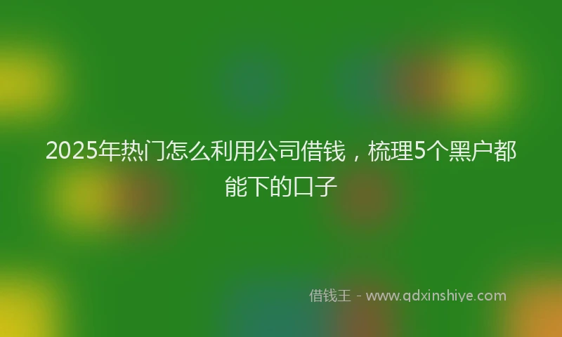 2025年热门怎么利用公司借钱，梳理5个黑户都能下的口子