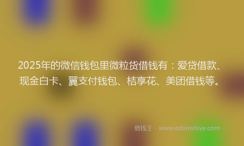 2025年的微信钱包里微粒货借钱有：爱贷借款、现金白卡、翼支付钱包、桔享花、美团借钱等。