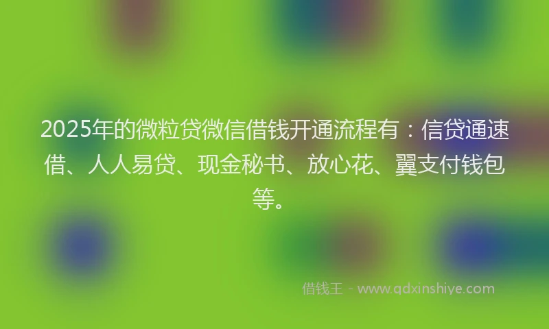 2025年的微粒贷微信借钱开通流程有：信贷通速借、人人易贷、现金秘书、放心花、翼支付钱包等。