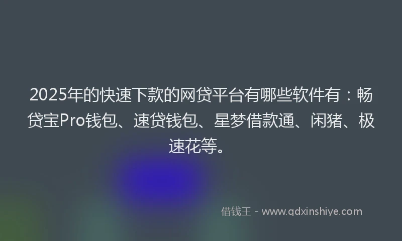 2025年的快速下款的网贷平台有哪些软件有：畅贷宝Pro钱包、速贷钱包、星梦借款通、闲猪、极速花等。