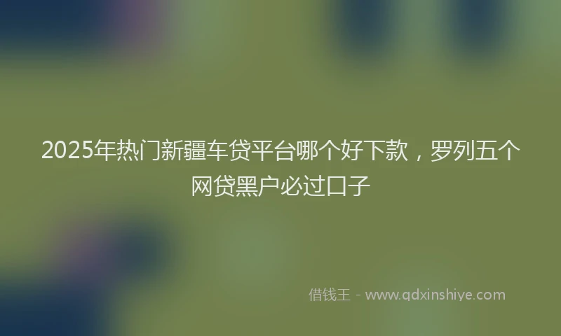 2025年热门新疆车贷平台哪个好下款，罗列五个网贷黑户必过口子